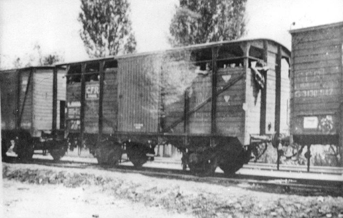 The Iasi-Calarasi death train at the railroad station in Targu-Frumos